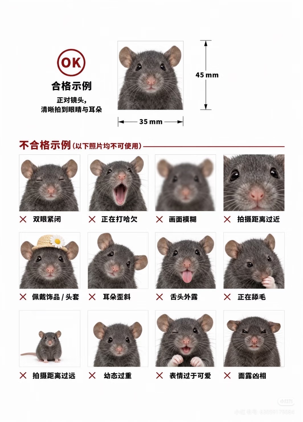 陈昕滢提交的照片